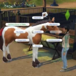 Boarding Stable Lot Trait (NPC Horses at Your Lots)