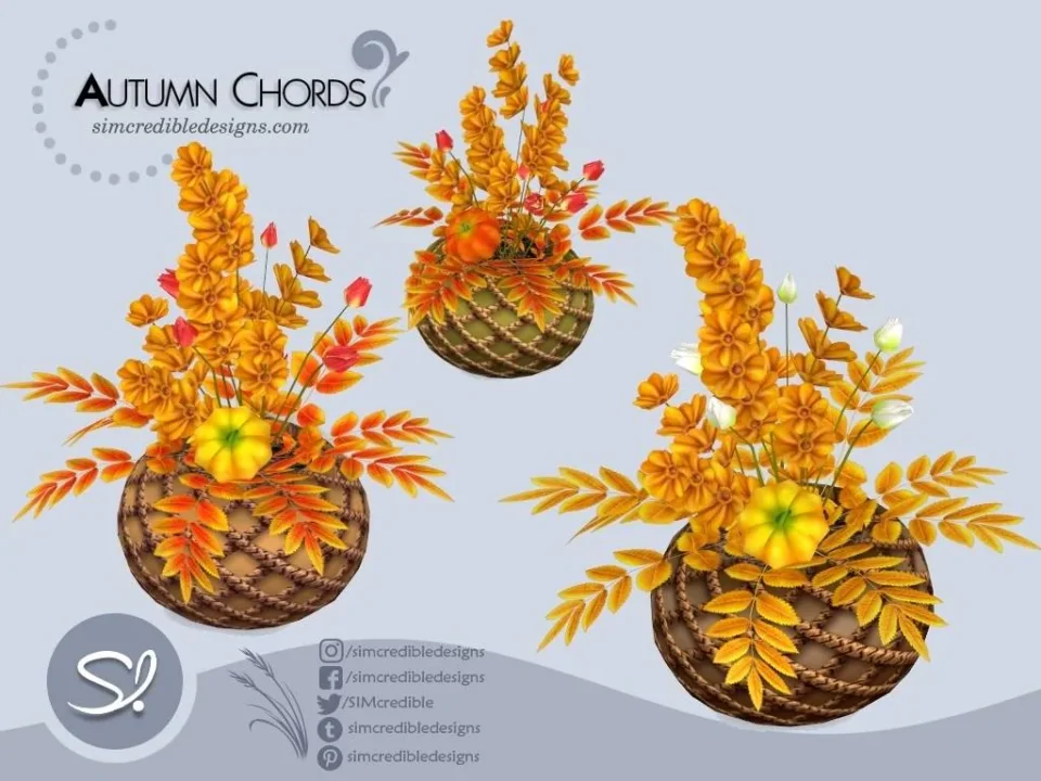 Autumn Chords - Decor 🏵️🍁