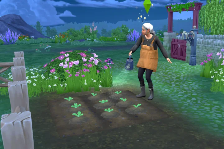Better Great Soil