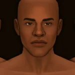 Perennial Default Skin