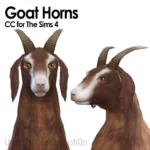 Goat Horn (Dogs)