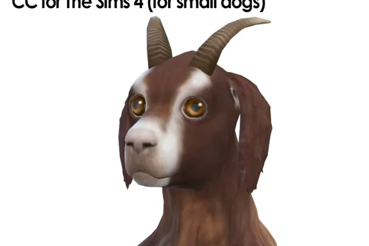 Goat Horn (Dogs)