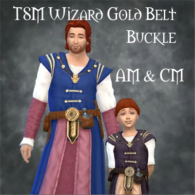 TSM Wizard Gold Belt Buckle Robe