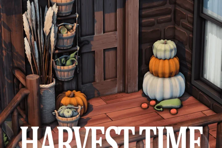 Harvest Time🌽SET
