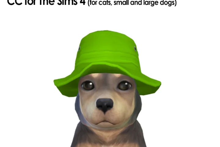 Pets Seasons Package