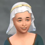 TSM Veil with Headband