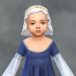 TSM Veil with Headband