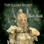 TSM Knight Helmet: Paladin, with Hair Attached