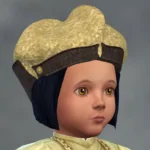 Wawa HenryVII Tudor Hat for All Ages