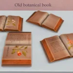 Herbal Witch's Favorites