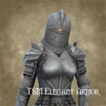 TSM Elegant Armor