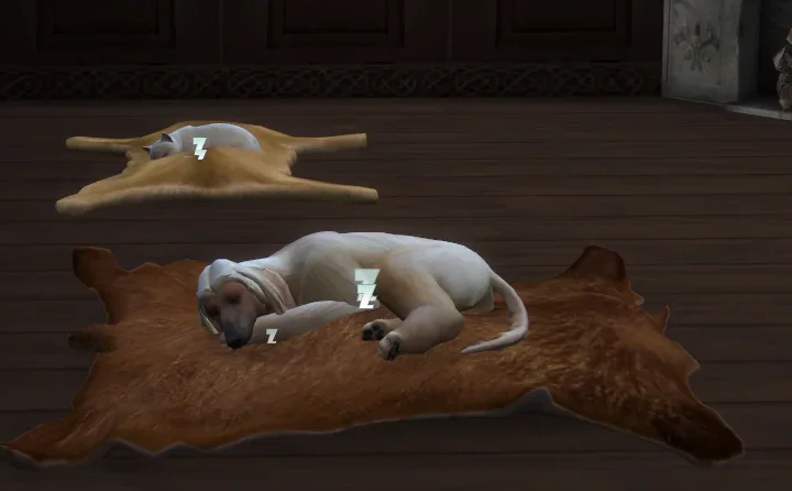 CK3 Hides - as rugs, wall rugs and pet beds