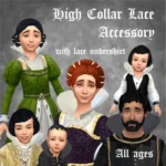 High Collar Accessory