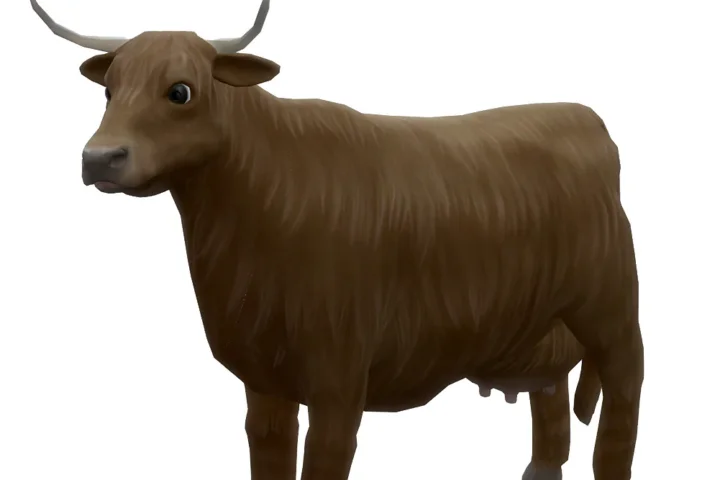 Highland Cow for the Animal Shed