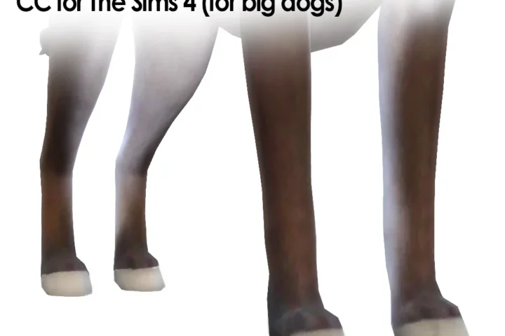 Hoof