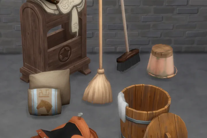 Ranch Living Clutter