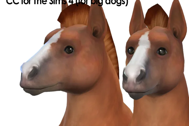 Horse Head