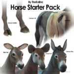 Horse Starter Pack