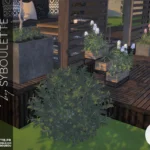 Hortensia set (2021)