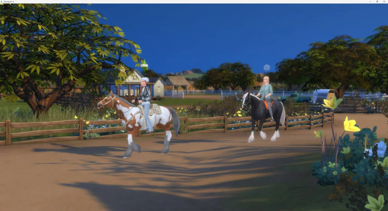 Horse Riding Together