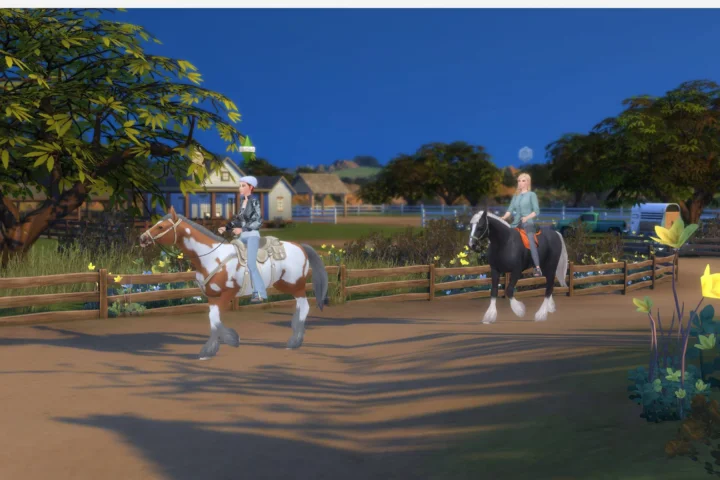 Horse Riding Together