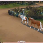 Horse Riding Together