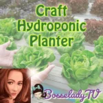 Craft Hydroponic Planter