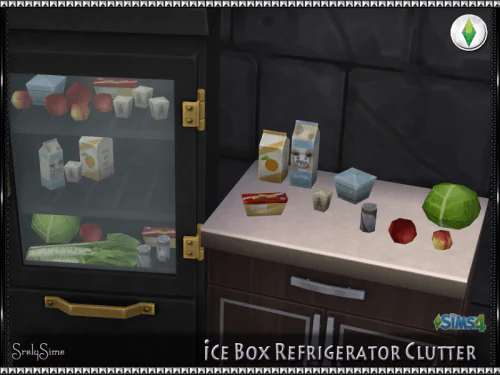 Ice Box Fridge Clutter