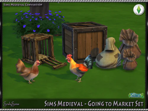 Going to Market