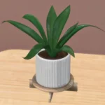 Lux plant #1