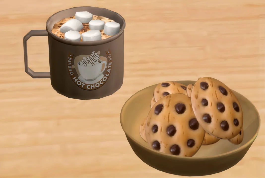 Hot chocolate with marshmallows & cookies