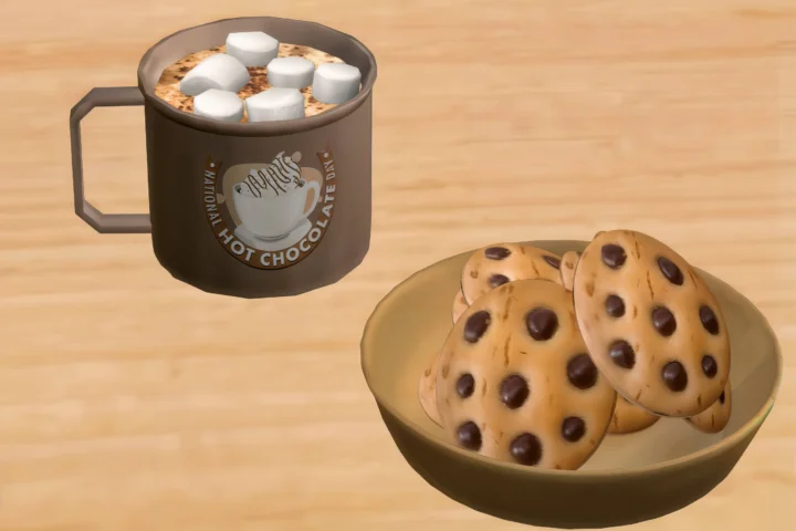 Hot chocolate with marshmallows & cookies