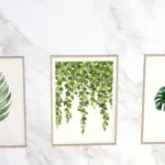 Boho botanical prints - set