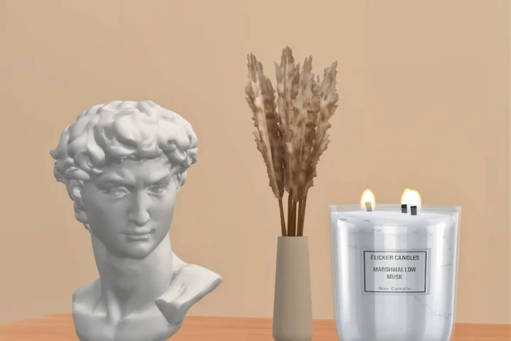 Minimal statue Michelangelo's David head