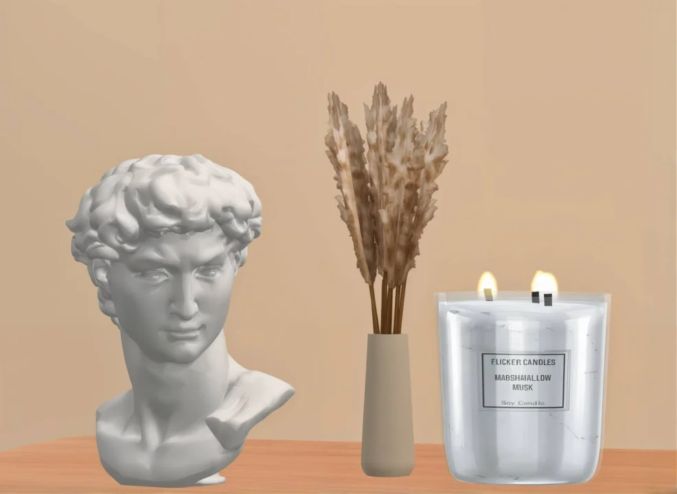 Minimal statue Michelangelo's David head