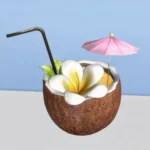Summer tropical drinks set