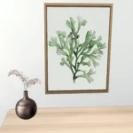 Orchid in vase
