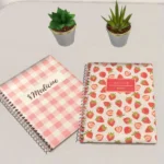 Back to school notebooks