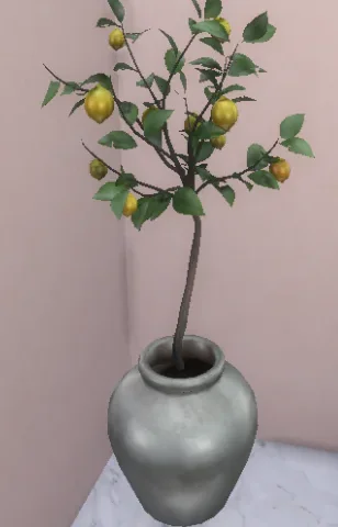 Minimal lemon tree in pot