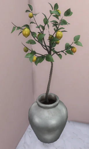 Minimal lemon tree in pot