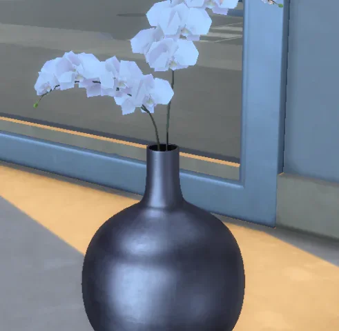 Orchid in vase