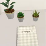 Back to school notebooks