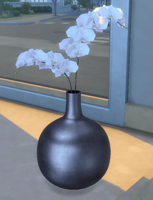 Orchid in vase