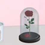 Rose in glass case - set