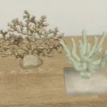 Minimal corals set