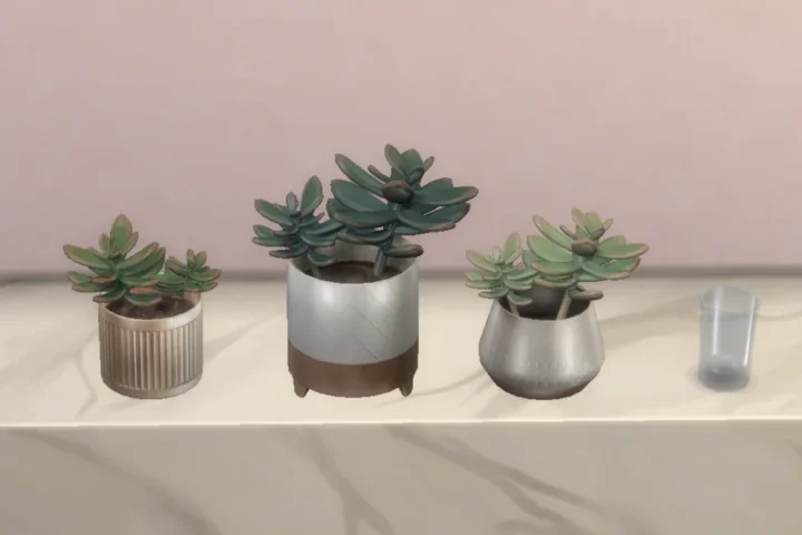 Minimal plants #3 - set