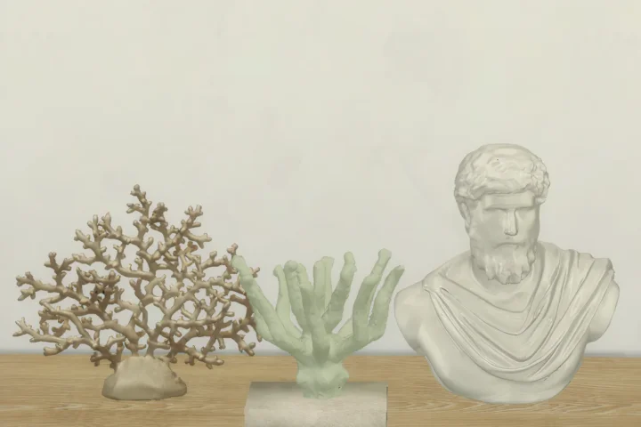 Minimal corals set