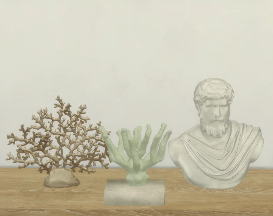 Minimal corals set