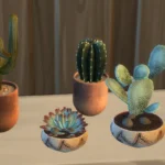 Boho cactus set