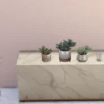 Minimal plants #3 - set